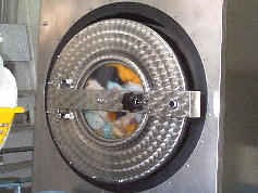 NetObjects Fusion 12.0